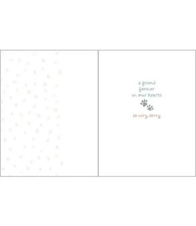 Pet Sympathy Greeting Card - Rainbow Bridge