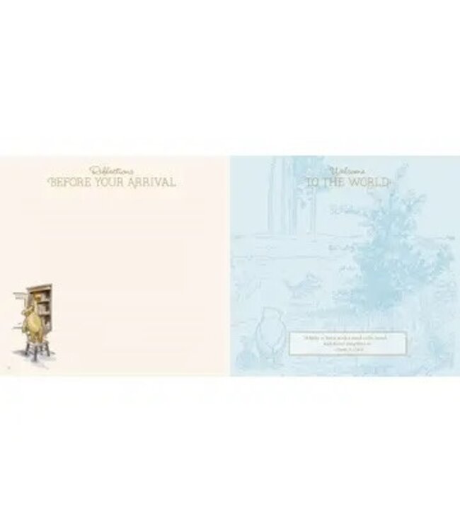 Winnie-The-Pooh Baby Book the First Five Years