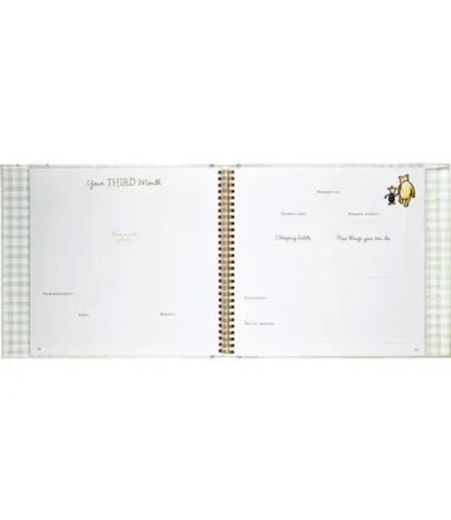 Winnie-The-Pooh Baby Book the First Five Years