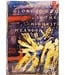 Gospels card pack - The St. John's Bible