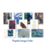 Popular Images Card Pack - The St. John's Bible