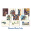 Historical Books Card Pack - The St. John's Bible