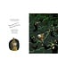 Forest Full of Music By Suzan Overmeer