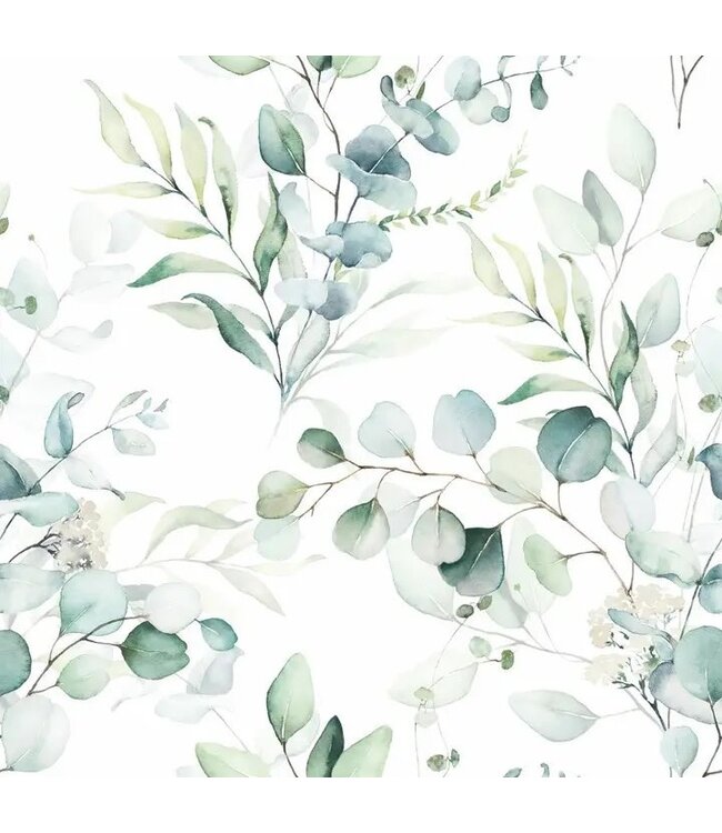Eucalyptus Cocktail Napkins