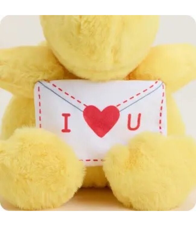 Love Letter Woodstock Warmies