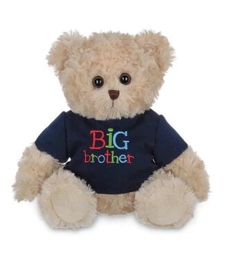 Big Buddy Big Brother Bear