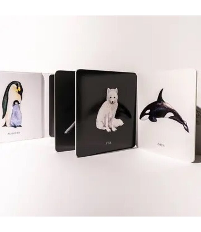 Black and White Contrast Book For Baby