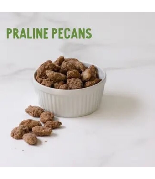 Georgia Holiday Tin | Praline Pecans