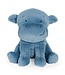 Little Henny the Hippo