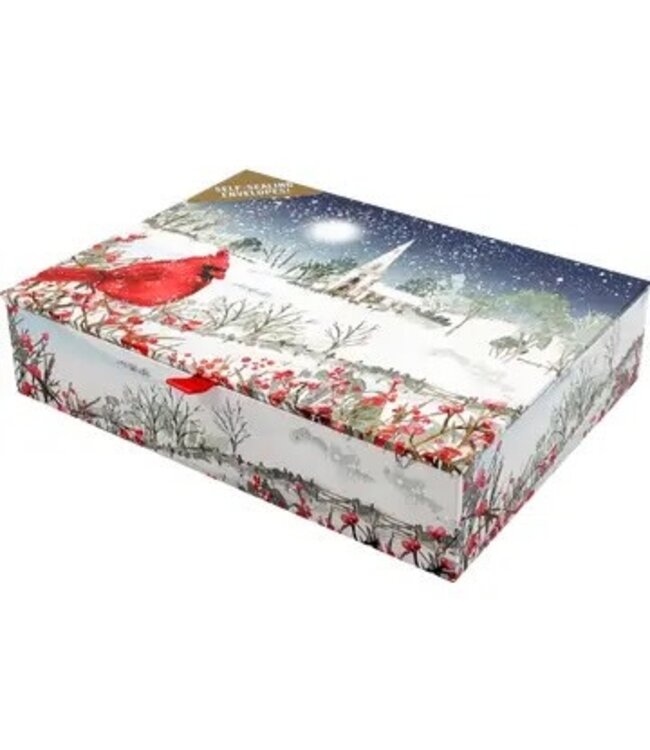 Cardinal in Moonlight Deluxe Boxed Holiday Cards