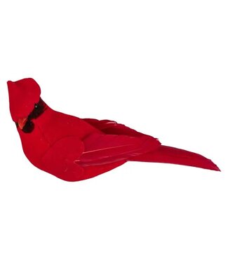 Velvet Cardinal Orn, Red, Silver Base Clip, 6.5in