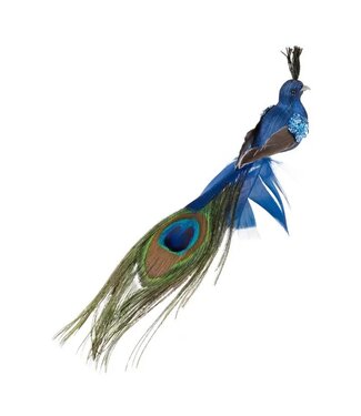Clip On Peacock Ornw/Long Feather Tail, 8.75 in.