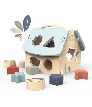 House Shape Sorter