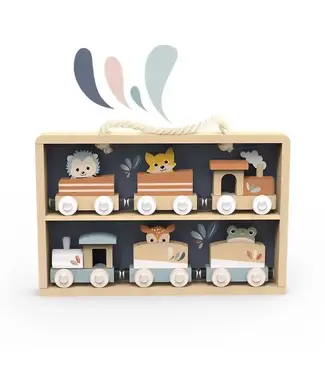 Train Set Case