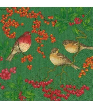 Birds And Berries Green Napkin Box Cocktail