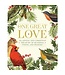 One Great Love - Readings and Prayers - Advent & Christmas