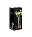 Exquisite Design 28 cm Vase