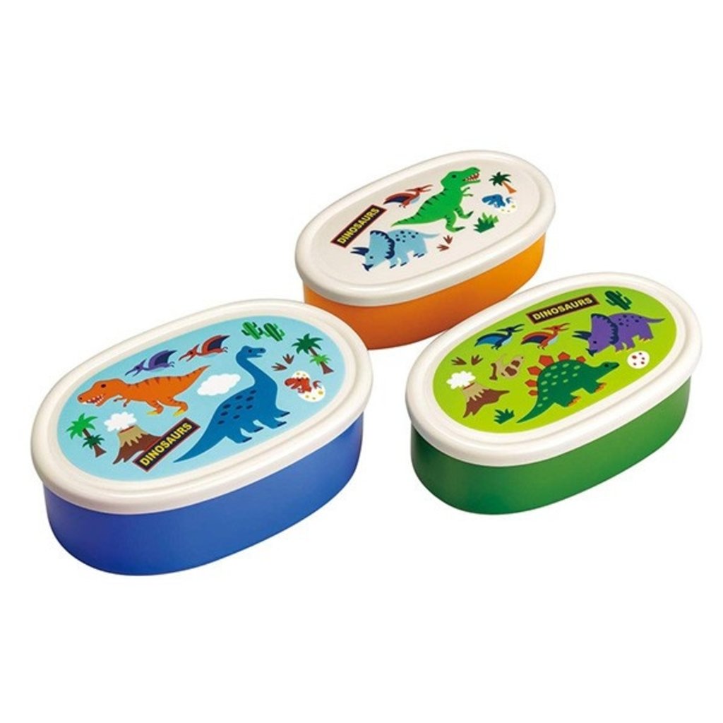 dinosaur lunch box set
