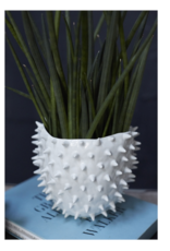 Cacti Pot 5.5" x 4" White
