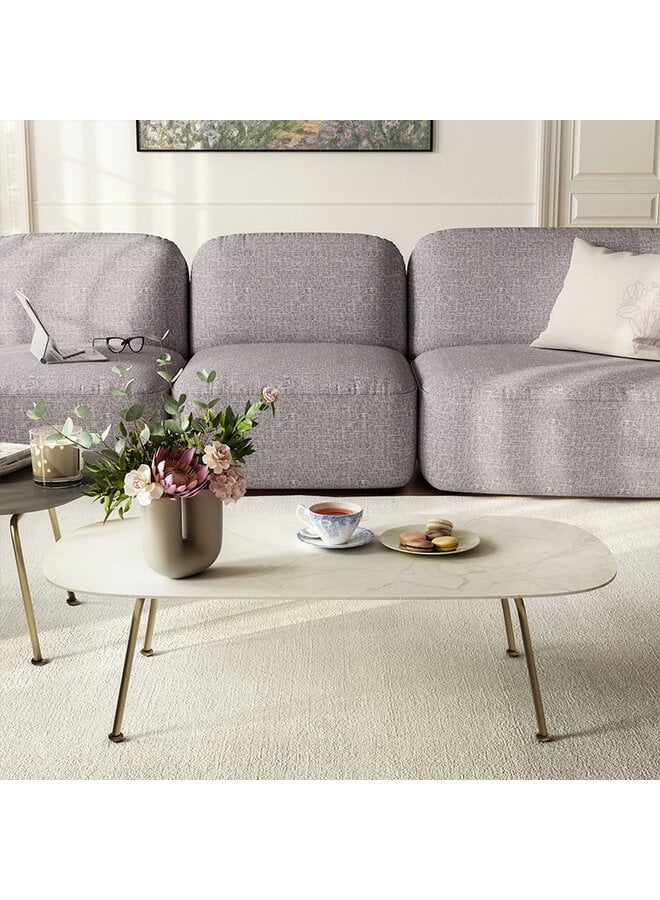NATUZZI EDITIONS LOW COFFEE TABLE
