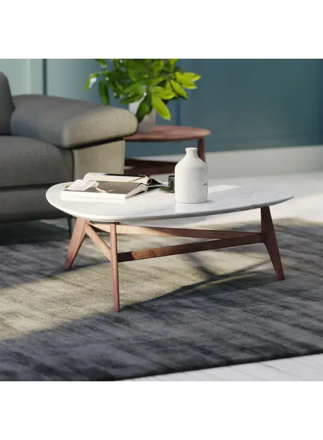 PLETTRO COFFEE TABLE