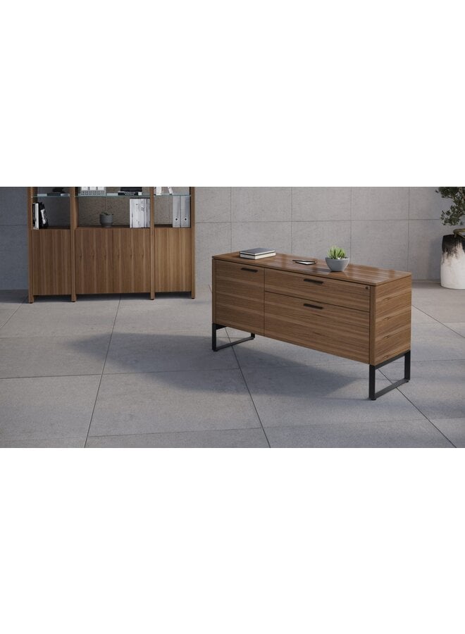 BDI LINEA 6220 MULTIFUNCTION STORAGE CABINET