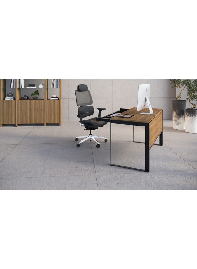 BDI LINEA 6221 OFFICE DESK