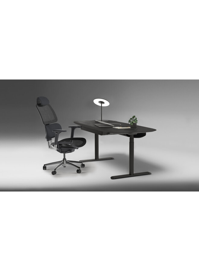 BDI SOMA 6352 LARGE ADJUSTABLE STANDING DESK