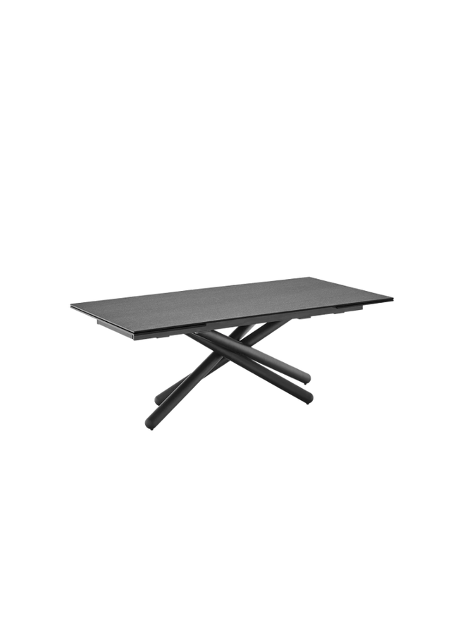 DUEL DINING TABLE
