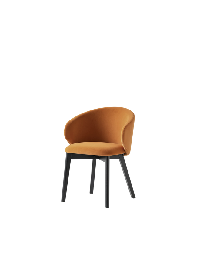 TUKA WOOD BASE DINING CHAIR