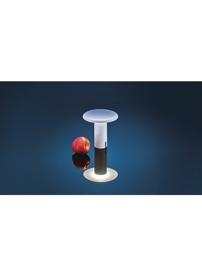 ARTEMIDE TAKKU TABLE LAMP