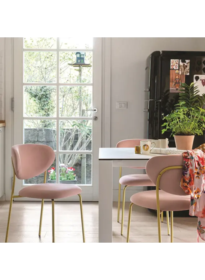 CONNUBIA COZY DINING CHAIR