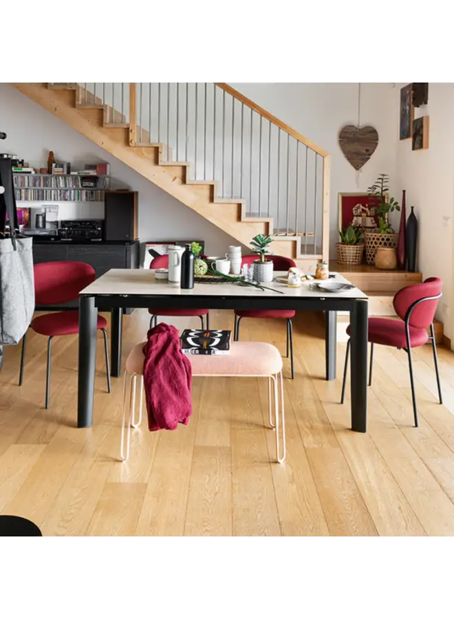 CONNUBIA COZY DINING CHAIR