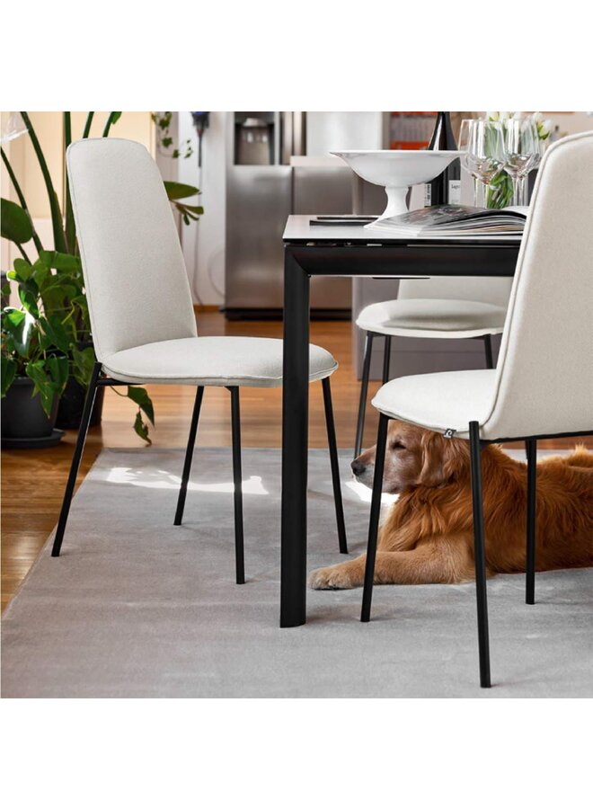 RILEY METAL DINING CHAIR
