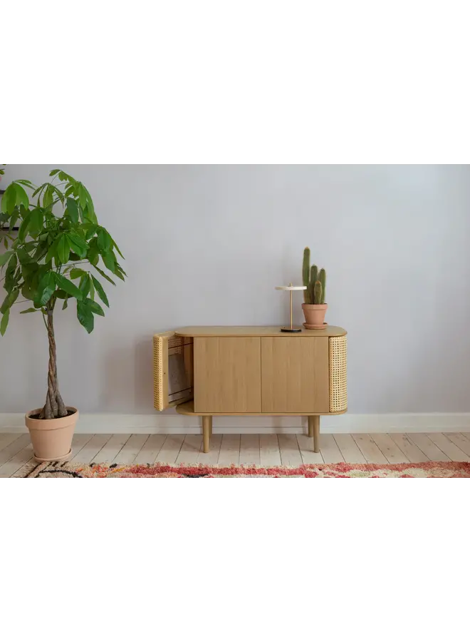 TREASURES 2 DOOR CABINET