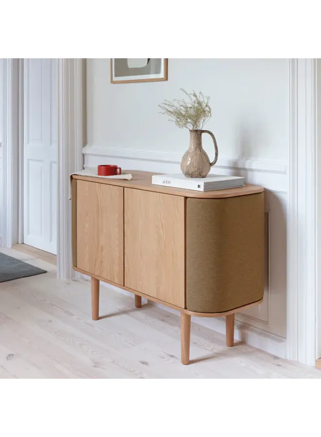 TREASURES 2 DOOR CABINET