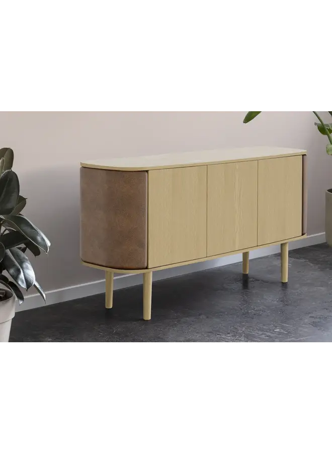 TREASURES 3 DOOR CABINET