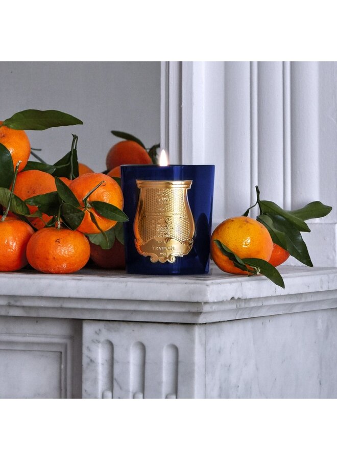 CANDLE-LES BELLES MATI_RES 270G REGGIO