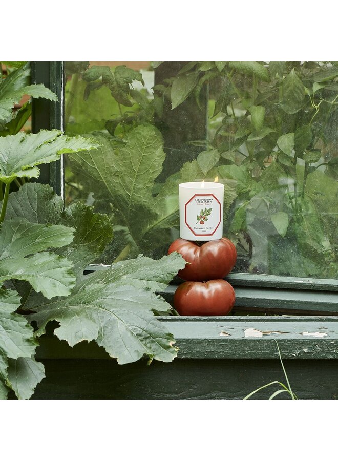 CARRIÈRE FRÈRES TOMATO SCENTED CANDLES