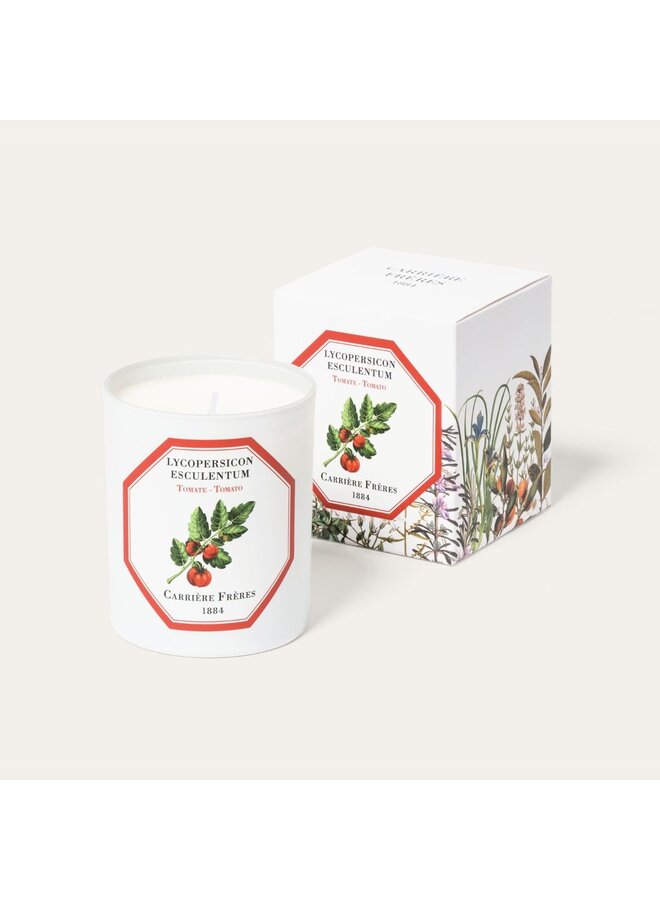 CF SCENTED CANDLES - TOMATO