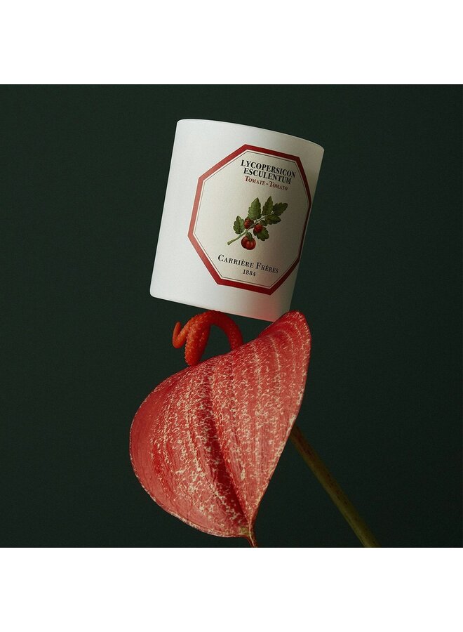 CF SCENTED CANDLES - TOMATO