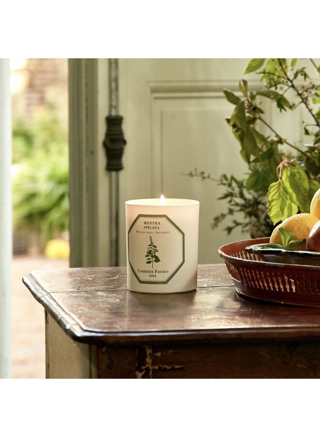 CARRIÈRE FRÈRES SPEARMINT SCENTED CANDLE
