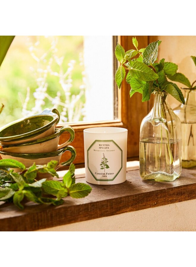 CARRIÈRE FRÈRES SPEARMINT SCENTED CANDLE