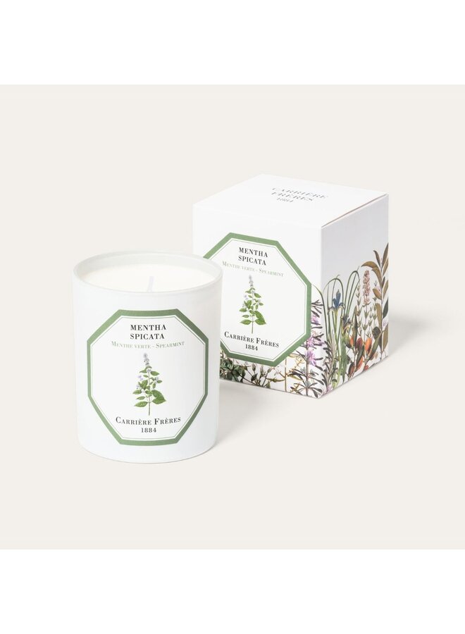 CARRIÈRE FRÈRES SPEARMINT SCENTED CANDLE