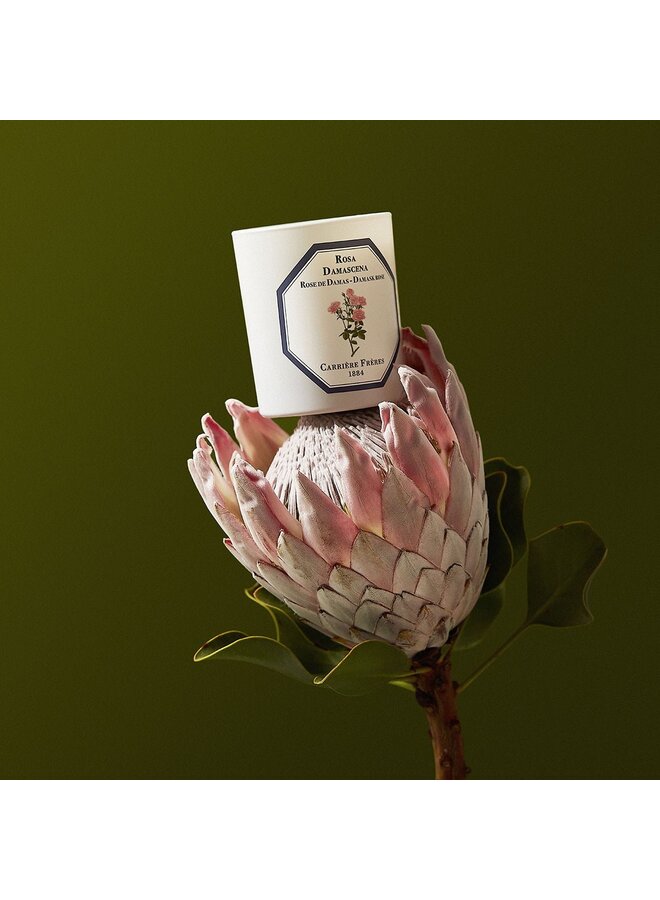 CF SCENTED CANDLES - DAMASK ROSE