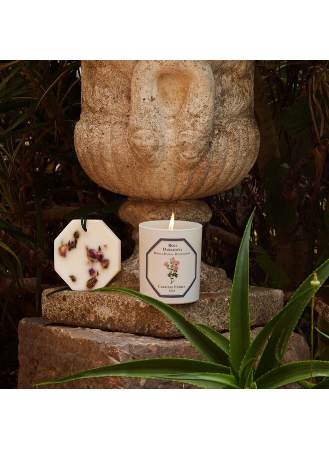 CF SCENTED CANDLES - DAMASK ROSE