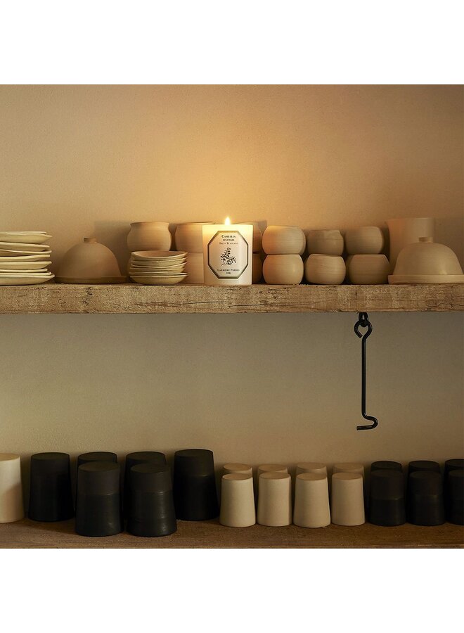 CARRIÈRE FRÈRES TEA PLANT SCENTED CANDLE