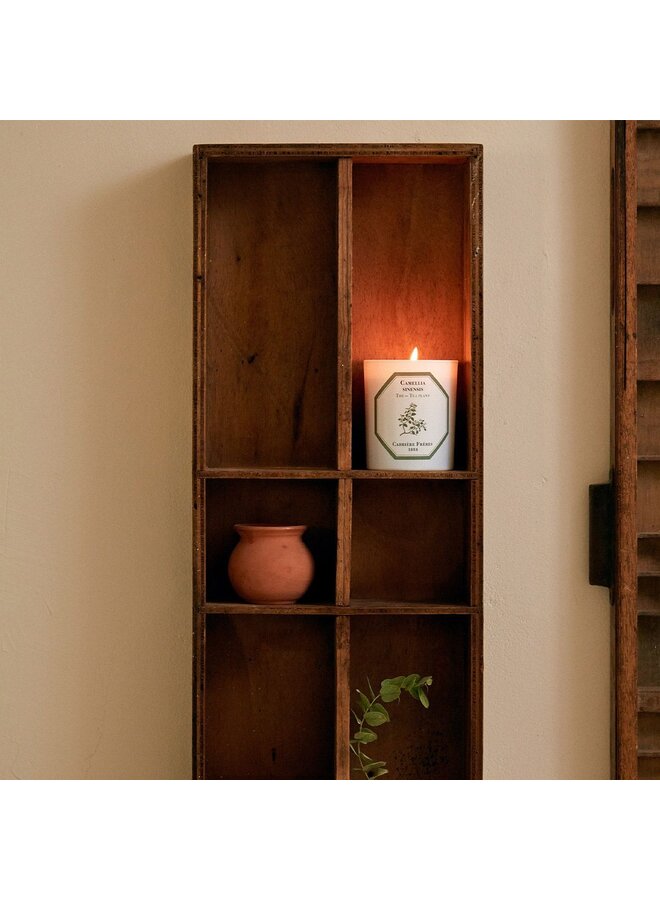 CARRIÈRE FRÈRES TEA PLANT SCENTED CANDLE