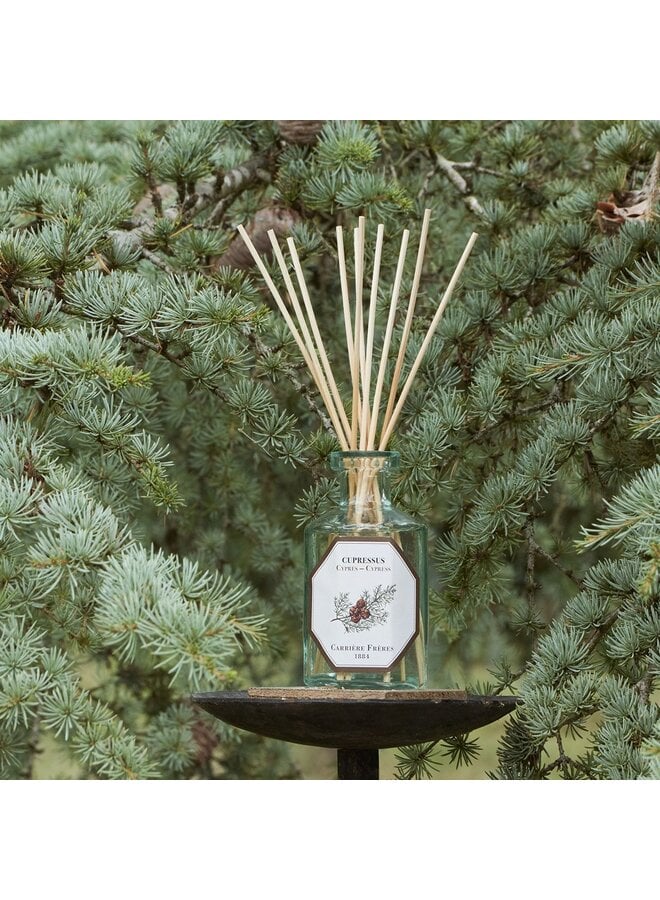 CARRIÈRE FRÈRES DIFFUSER – CYPRESS