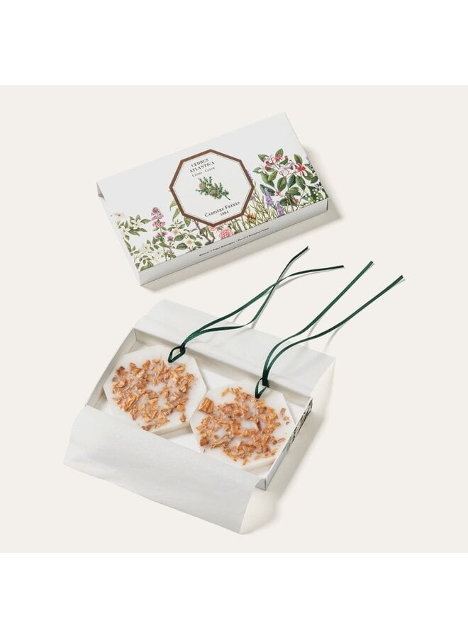 CARRIÈRE FRÈRES BOTANICAL PALET – CEDAR